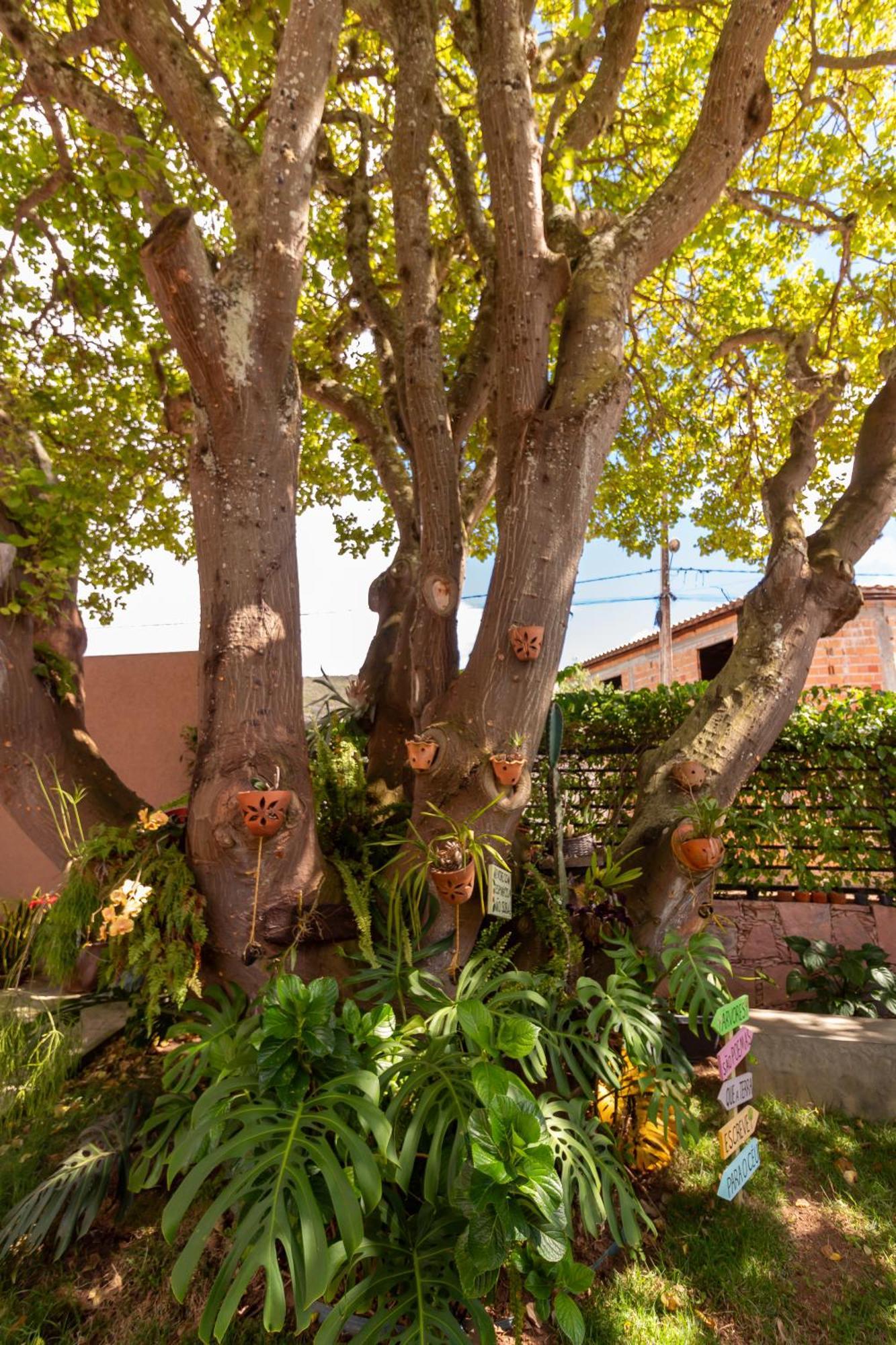 Villa Matilde Mucugê Buitenkant foto